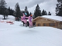 sslw2019_002
